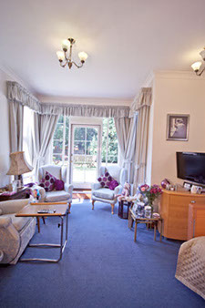 view out of lovely room into garden through doors and windows